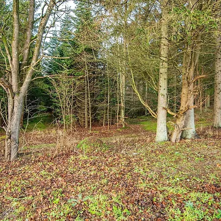 6 Person In Allingabro-by Traum Holiday home Allingabro